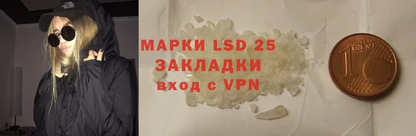 спиды Вяземский