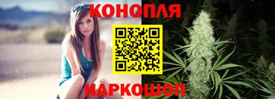 индика Будённовск