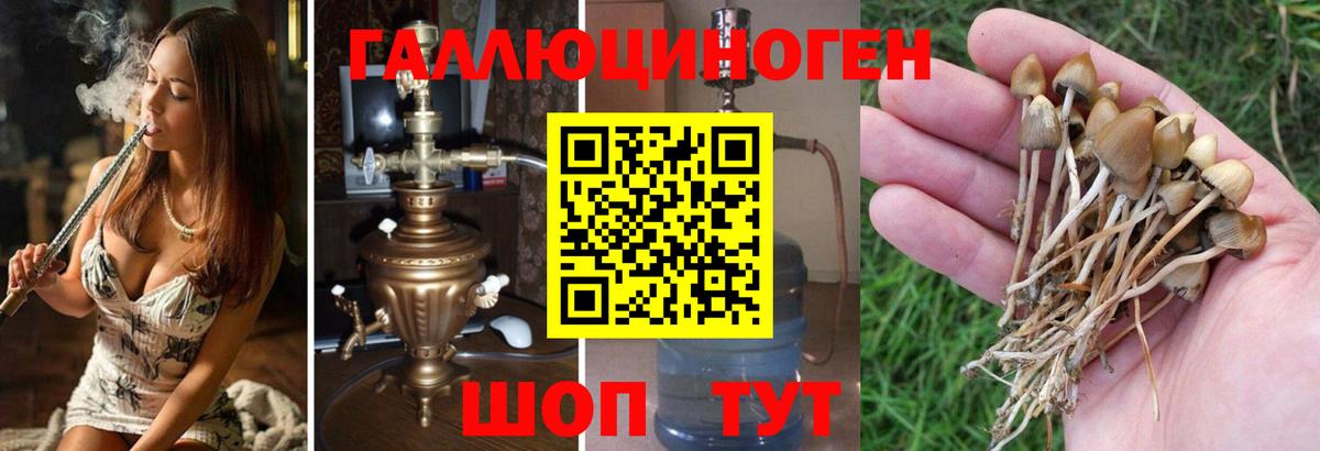 Галлюциногенные грибы Magic Shrooms Гудермес