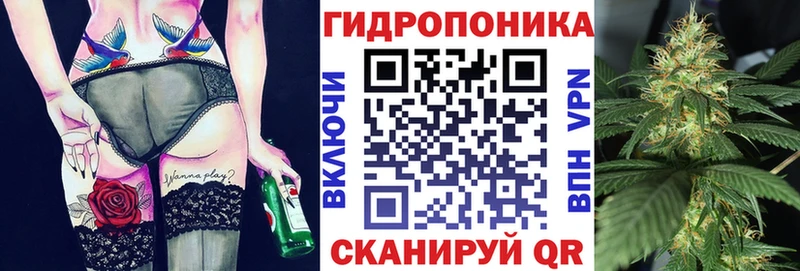 Канабис MAZAR  Гудермес 