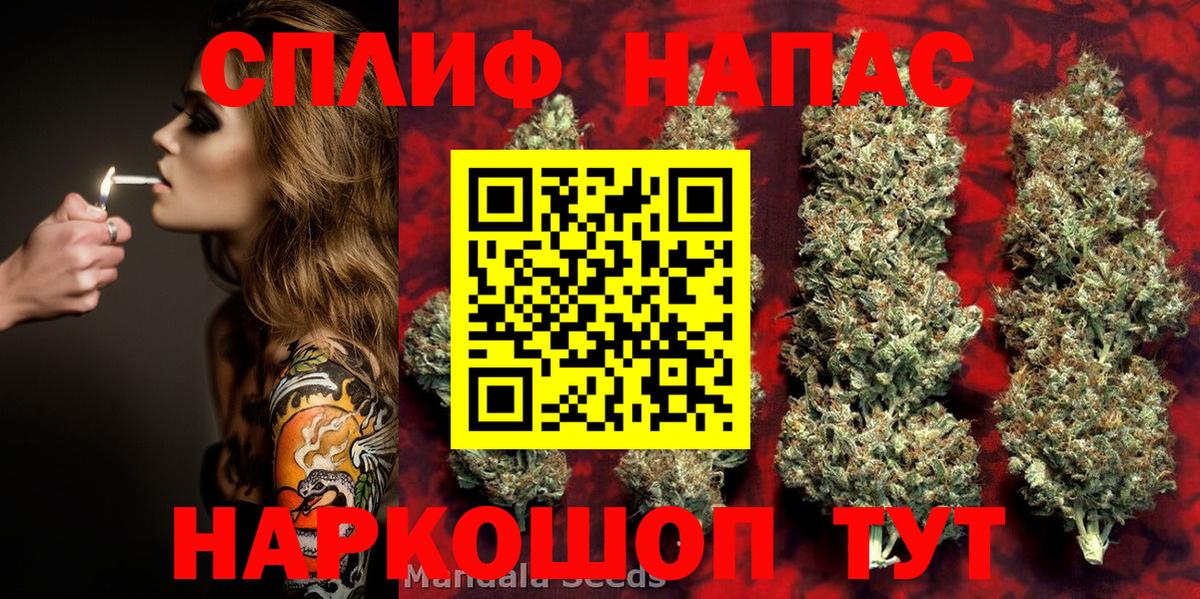 Гудермес  Бошки марихуана индика  Вход с VPN  Бошки Шишки планчик  Конопля Amnesia 